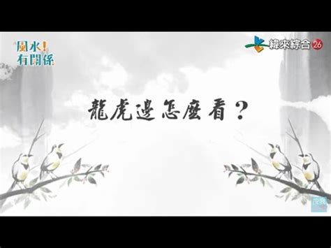 廁所在龍邊|【廁所要在龍邊還是虎邊】廁所要在龍邊還是虎邊？三。